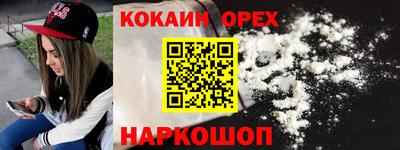 крисы Новодвинск