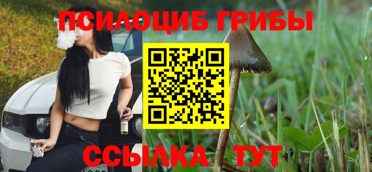 Псилоцибиновые грибы GOLDEN TEACHER  Псилоцибиновые грибы Magic Shrooms  Фурманов  Вход с VPN 